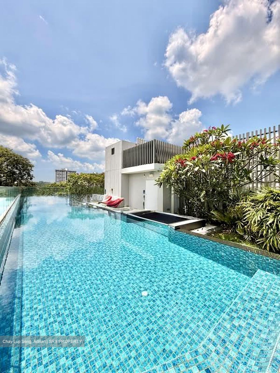 Dunearn 386 (D11), Apartment #536093461